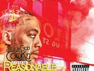 Reasonable Drought by Stove God Cooks (Record, 2020) NEW VINYL