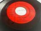 CHRIS ALLEN & GOOD-TIMERS PRIVATE GARAGE PUNK 45(SIGNED )VG+