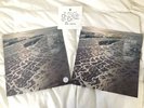 Fleet Foxes Shore Ocean Blue Swirl Signed Print Limited Edition Sealed Mint