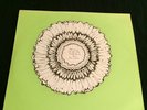 Grateful Dead Live Fillmore 2 LPS colored vinyl