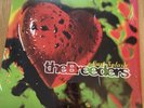 The Breeders - Last Splash [BRAND NEW 12” VINYL]