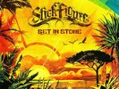 Stick Figure - Set In Stone 2 LP NEW VINYL RECORD Slightly Stoopid Collie Buddz