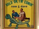SAM and DAVE - 