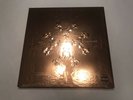 (SEALED Picture Disc Vinyl) Kanye West & Jay Z - Watch the Throne Yeezy Drake