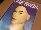 Blank Banshee - Blank Banshee 0 Vinyl BLUE LP NEW IN HAND