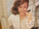 Miki Matsubara POCKET PARK LP reprint with Poster /Midnight Door City-pop New