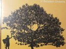 Jack Johnson, In Between Dreams - Brush Fire Rec (B000414901) Vinyl VG+