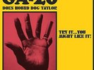 GA-20 - Does Hound Dog Taylor: Try It...You Might Like It  (NEW VINYL LP)