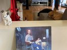 Tori Amos “Boys For Pele” Original UK 1996 Limited Ed Clear Vinyl Double LP