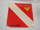 VINTAGE RECORD LP VINYL VAN HALEN DIVER DOWN OH PRETTY WOMAN SEALED ALBUM