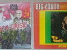 Big youth & Steel Pulse Lp's Ska dub reggae Trojan  rocksteady Dj Toasting 70's