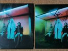 Wolf Alice :Blue Weekend, Transparent Red Vinyl & Autographed 12x12