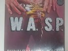 WASP 12