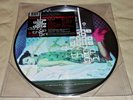 Dizzy Up the Girl by The Goo Goo Dolls (Vinyl Picture Disc LP, Sealed)