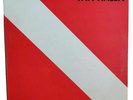 Van Halen Diver Down 1982 LP 33 Giri Vinile Prima Stampa W57003 Nuovo