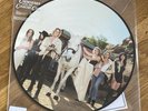 Lana Del Rey Chemtrails Over The Country Club Vinyl Spotify Picture Disc