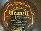Gennett 6322 TRIANGLE HARMONY FOUR Canned Heat Blues  78rpm 1928 E- HC