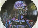 TOOL - Lateralus picture disc promo, 2005, ultra rar, oop