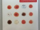 PETER GABRIEL Scratch My Back / And I'll Scratch Yours 2LP 13' US First Pr Vinyl