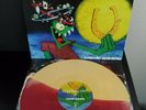 Less Than Jake Losing Streak Half Mustard Yellow/Half Oxblood Red Limited to 400