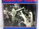 Youth of Today - Break Down the Walls 12 inch Vinyl LP - First Press 1986