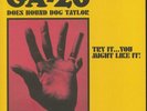 GA 20 - GA 20 Does Hound Dog Taylor: Try It You Might Like It  - Vinyl (LP)