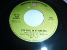 David and Ruben - THE GIRL IN MY DREAMS / (I LOVE HER SO MUCH) IT HURTS ME 45rpm