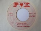 TYRONE DOWNIE Marcus Jr FOX Burning Spear + Roots Inst Reggae 7