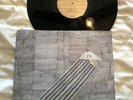 Frightened Rabbit Sing The Greys Signed LP