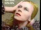 David Bowie Hunky Dory LP Album RE Vinyl Schallplatte 201858