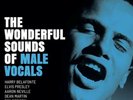 THE WONDERFUL SOUNDS OF MALE VOCALS - 180g ANALOGUE PRODUCTIONS 2 LP VINYL