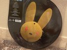 In Hand Bad Bunny J Balvin Oasis Picture Disc Vinyl BRAND NEW   ? ?