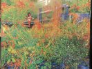 RARE Jhené Aiko TRIP TRANSLUCENT ORANGE VINYL (1/2000 EVER MADE) NEVER PLAYED