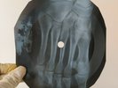 BEATLES YELLOW SUBMARINE X-Ray USSR Record Roentgen Bones Ribs Music Vinyl