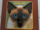 Blink-182 2010 Vinyl Cheshire cat clear vinyl with splattered paint *Rare*