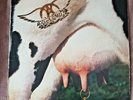 Aerosmith – Get a Grip 12 inch Vinyl Record Album