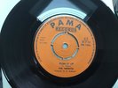 The Termites-Push It Up/-Two Of A Kind PAMA PM729