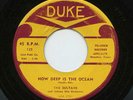 '54 R&B/Doo Wop SULTANS How Deep Is The Ocean/Good Thing Baby    Duke orig