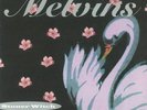 MELVINS - Stoner Witch (reissue) - Vinyl (gatefold 180 gram audiophile vinyl LP)