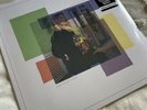 Knuckle Puck - Shapeshifter - Newbury Exclusive - Colored Splatter Vinyl LP