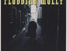Flogging Molly-Drunken Lullabies (UK IMPORT) Vinyl / 12