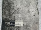 R.E.M/Pearl Jam - Live For Today 7