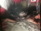 SIGNED Hayley Williams - FLOWERS for VASES / descansos Limited Clear Vinyl LP