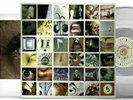 Pearl Jam - No Code - Clear Vinyl - Ten Club only Pressing - Top - Mint