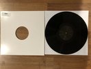 Evanescence - Bitter Truth **TEST PRESS** vinyl LP  RARE linkin park korn