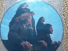 Paradise Lost Gothic Picture Disc My dying bride Peaceville 1991