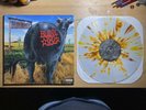 Blink-182-Dude Ranch Vinyl (2014 Clear w/ Brown & Yellow Splatter /2700)