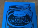 45 record nirvana tribute to The Vaselines+ bonus punk 45 (Government Warning)