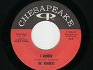 '61 R&R/White DooWop/Teen WONDERS I Wonder/Summer Love CHESAPEAKE M- HEAR