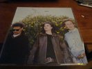 STEPHEN - Dumb - Lp - 1988 on Flying Nun - The Clean  Bats David Kilgour